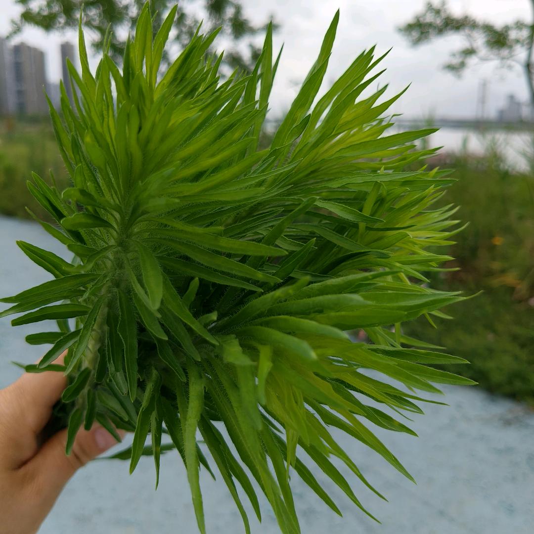 你是我的风景