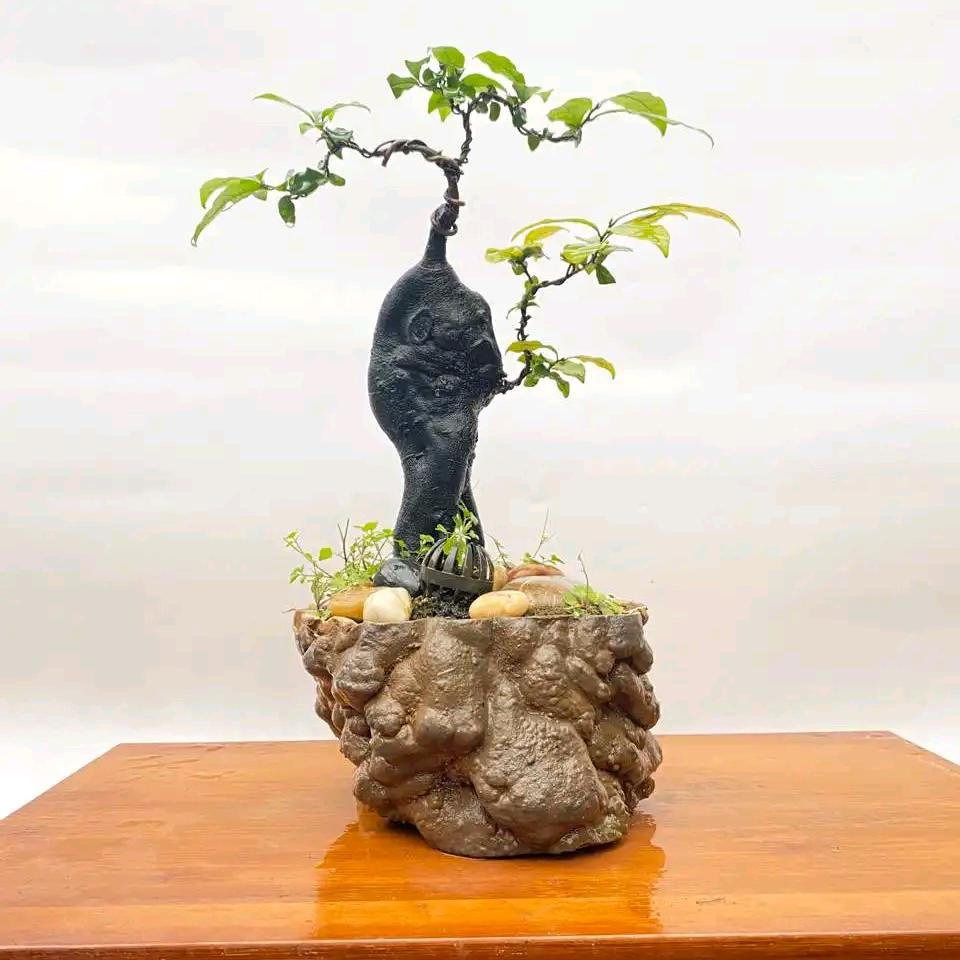水沝淼㵘
