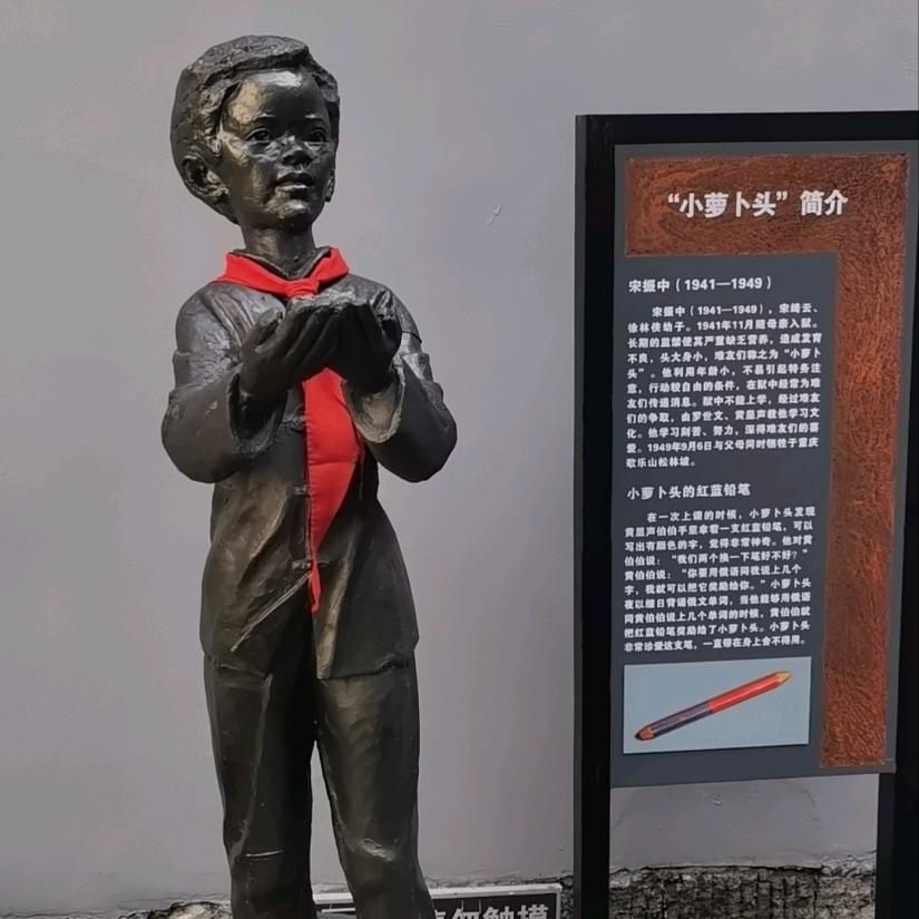 树哥说剧情