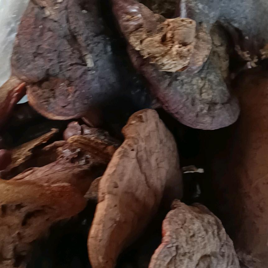 有远大理想徐国有