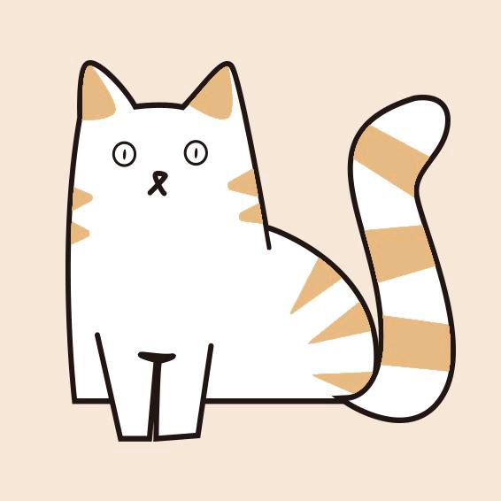一只小猫
