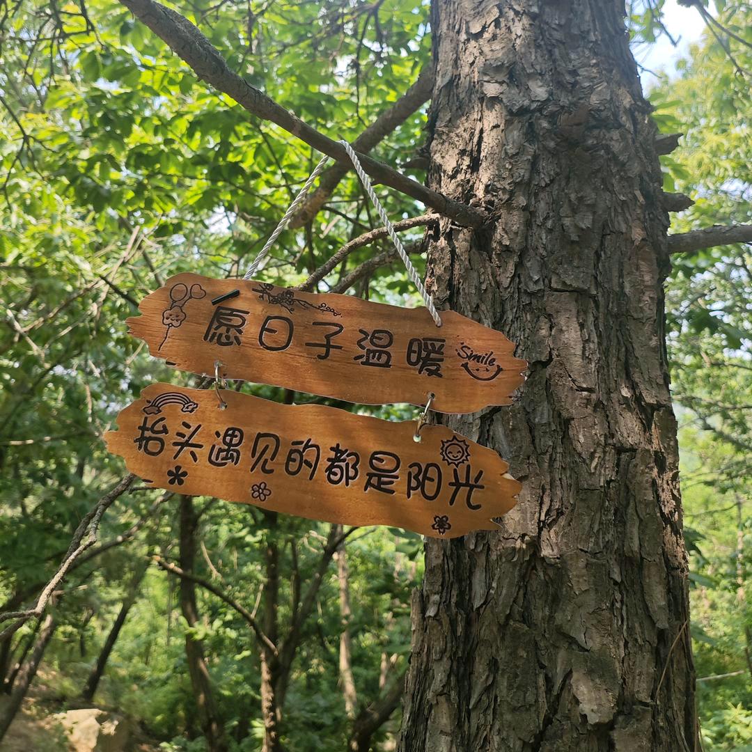 日照市云栖谷露营研学基地