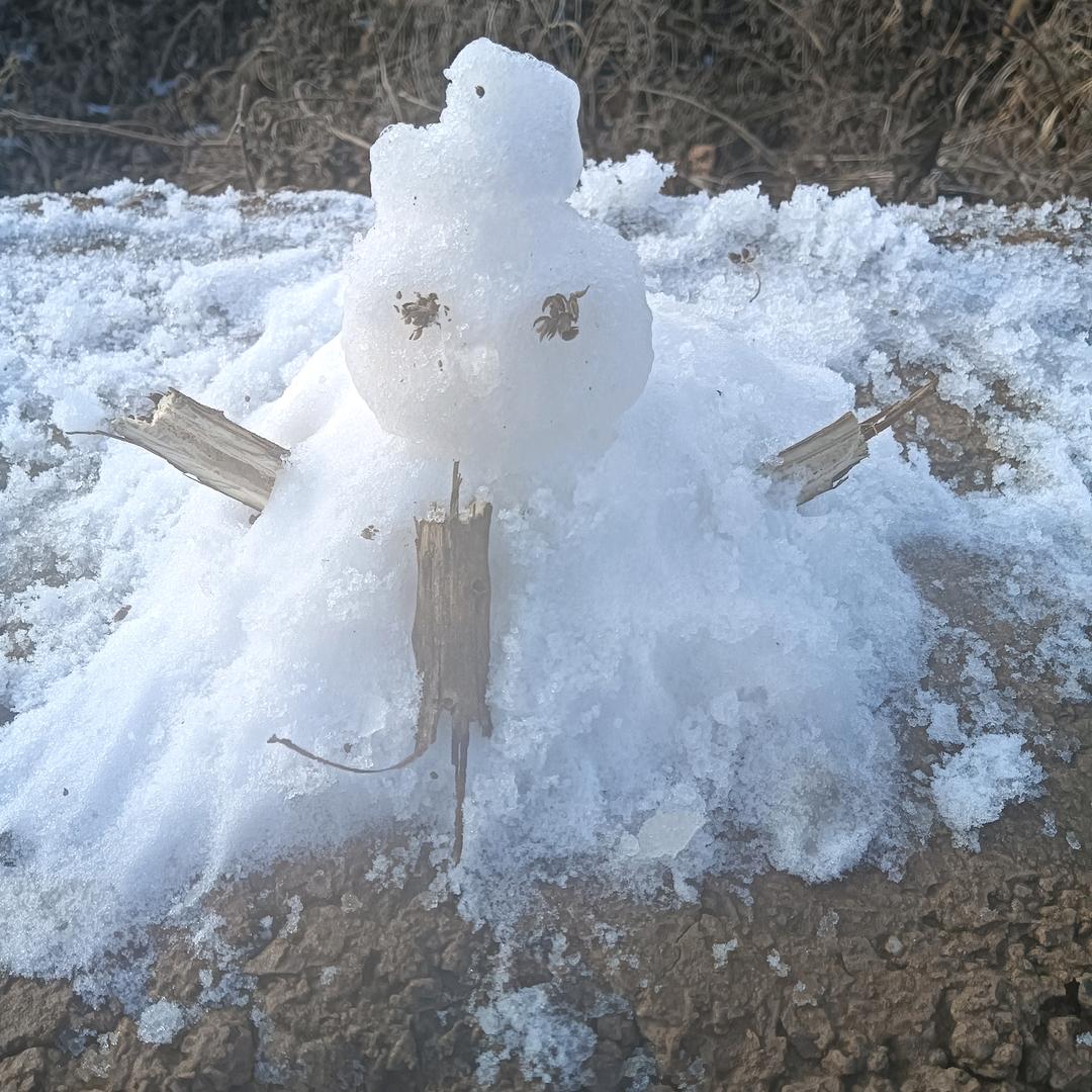 听风看雪