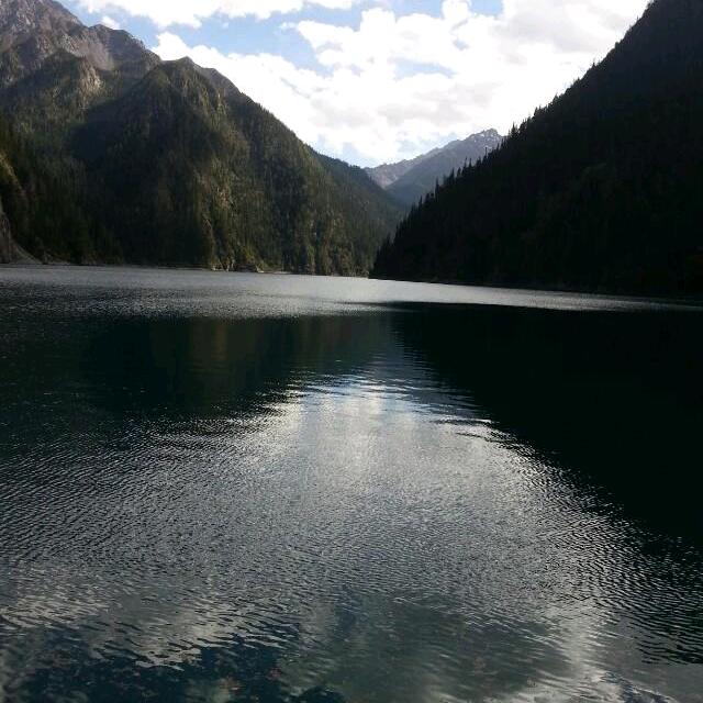 沐泽西城托管