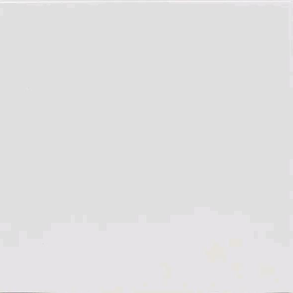 用户30983996751R2410