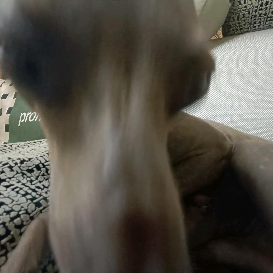 来看一下这个山东的宝子说的话啊
