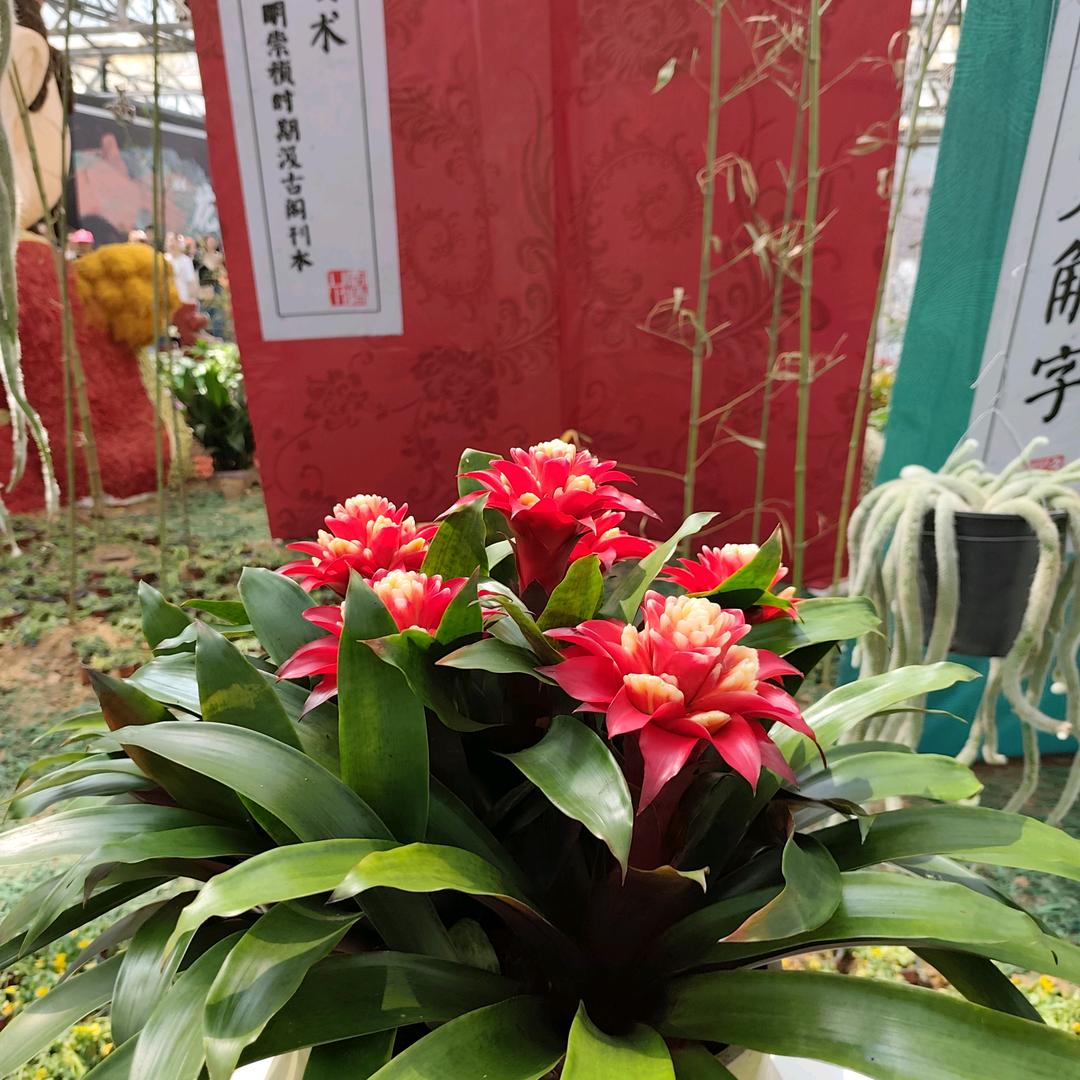 秀梅
