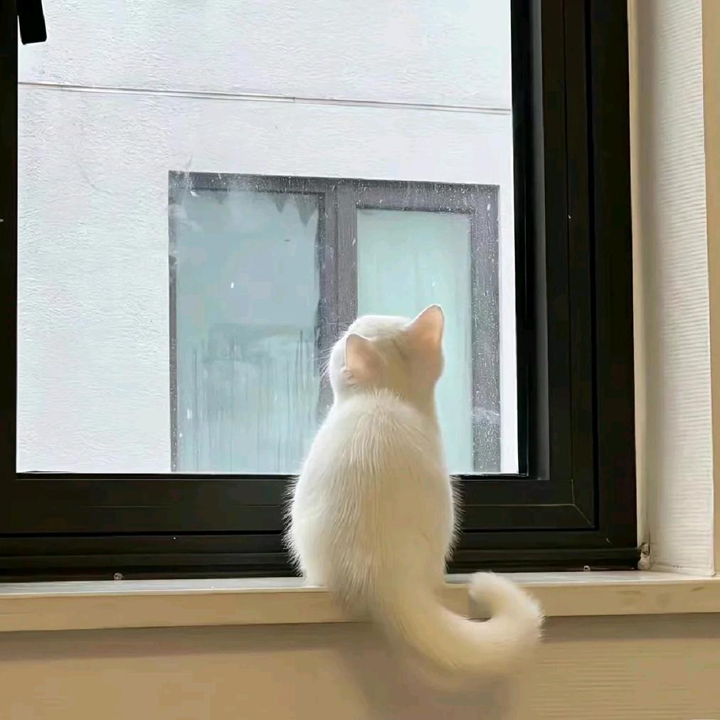 熙熙………