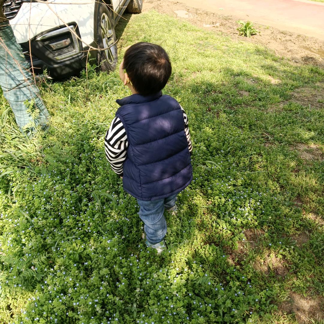 菲菲🍀✨️✨️