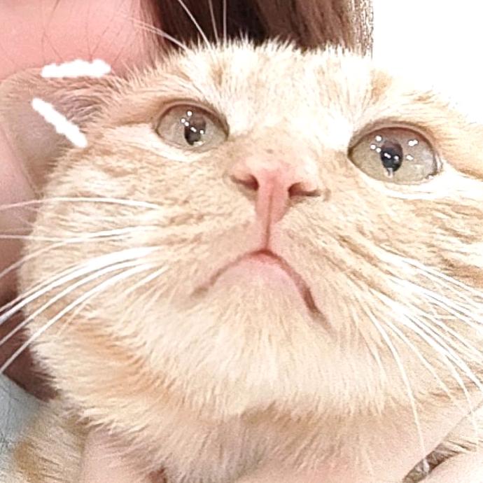 多多的日常生活记录员