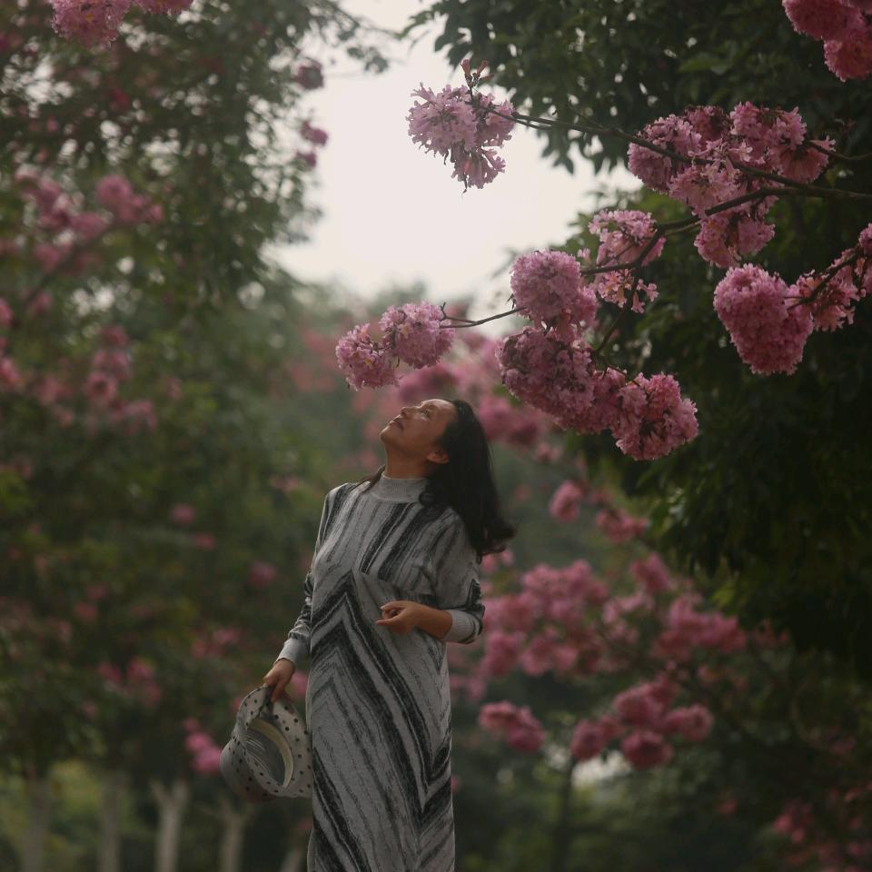 虹美