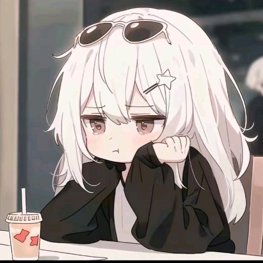 泠月