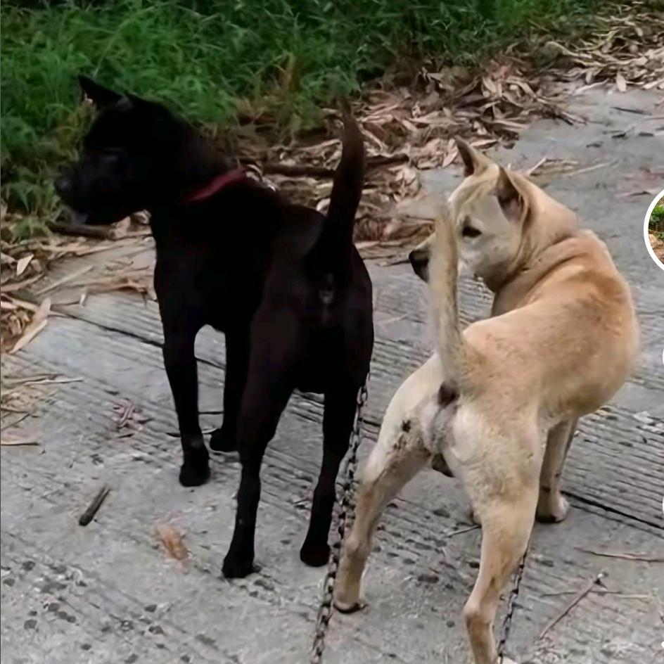 广西喀斯特！