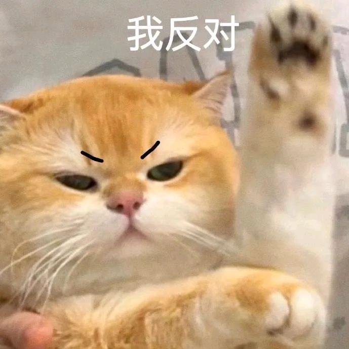 花落曾相依