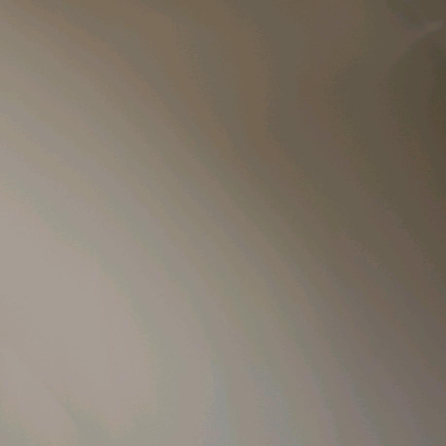 飞龙