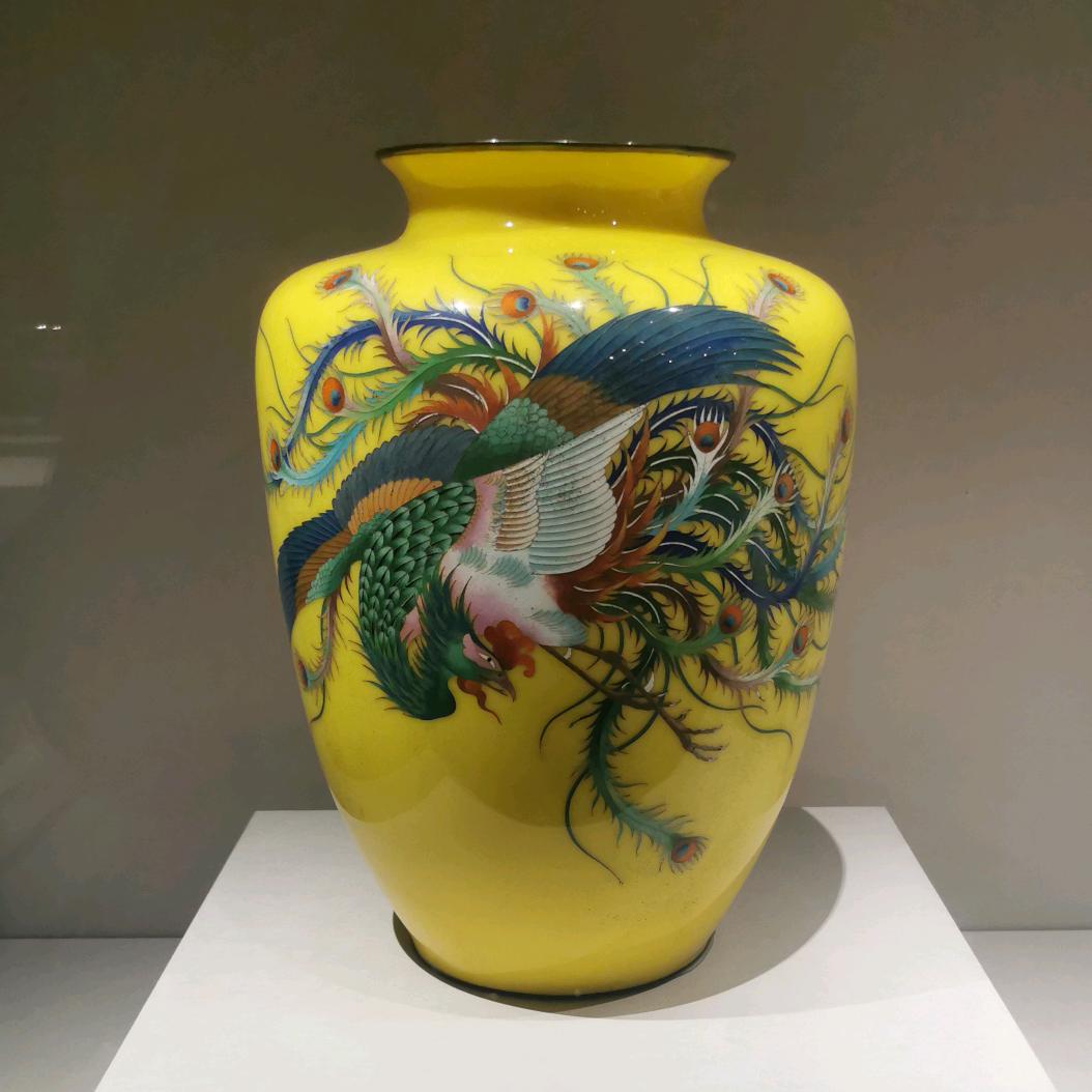 学唱歌的公鸭嗓