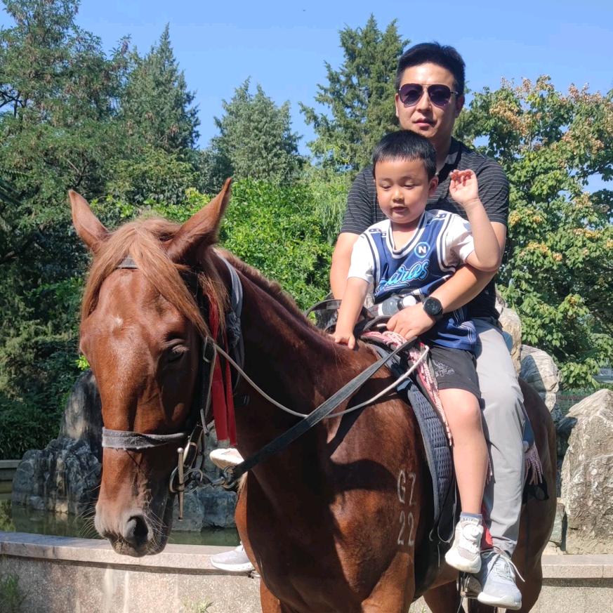 洋县衡固全屋定制