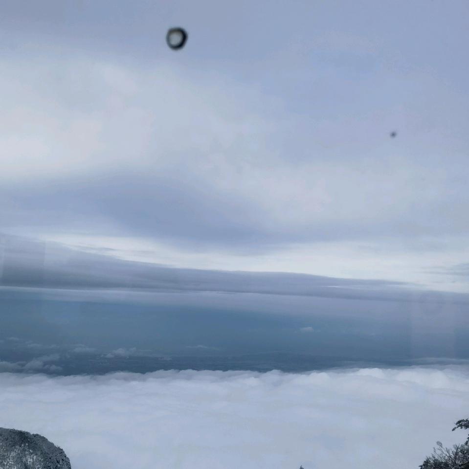 💫镜花水月💫