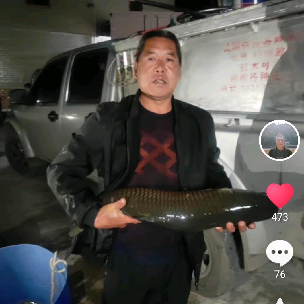 岳相奎