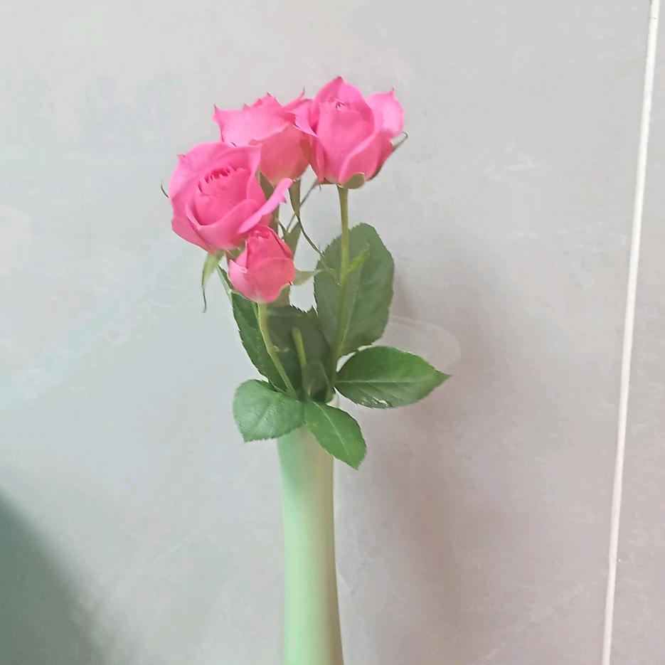 单身的生活就是好