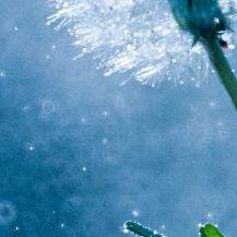 哦破热搜lz来呀小