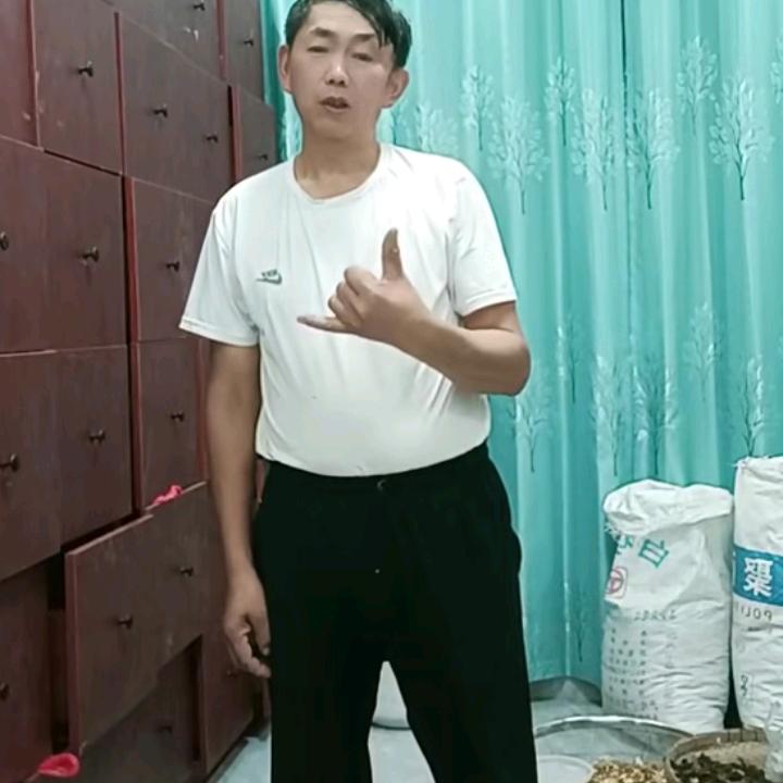 天天红