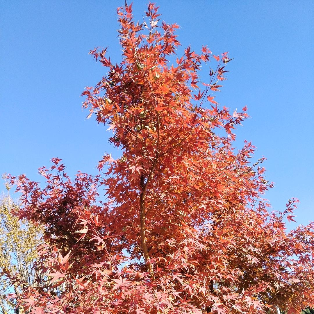 豪情～壮志-