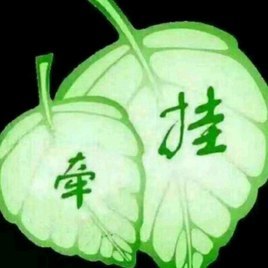 我的善良给了谁