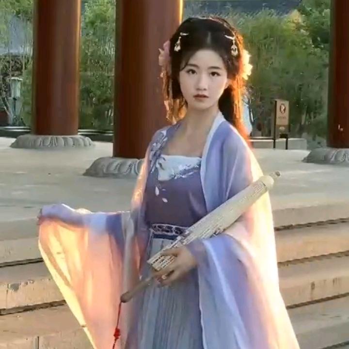 CD芦苇宏宏