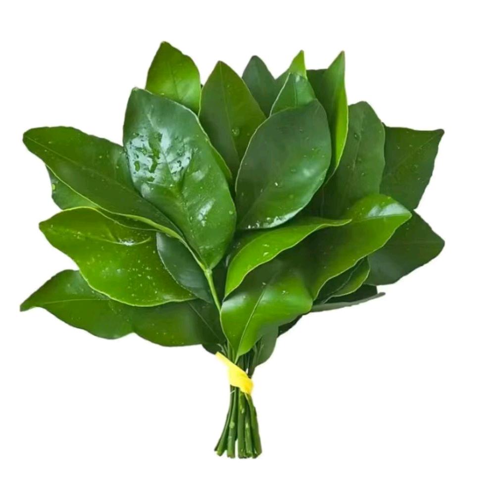 金智媛