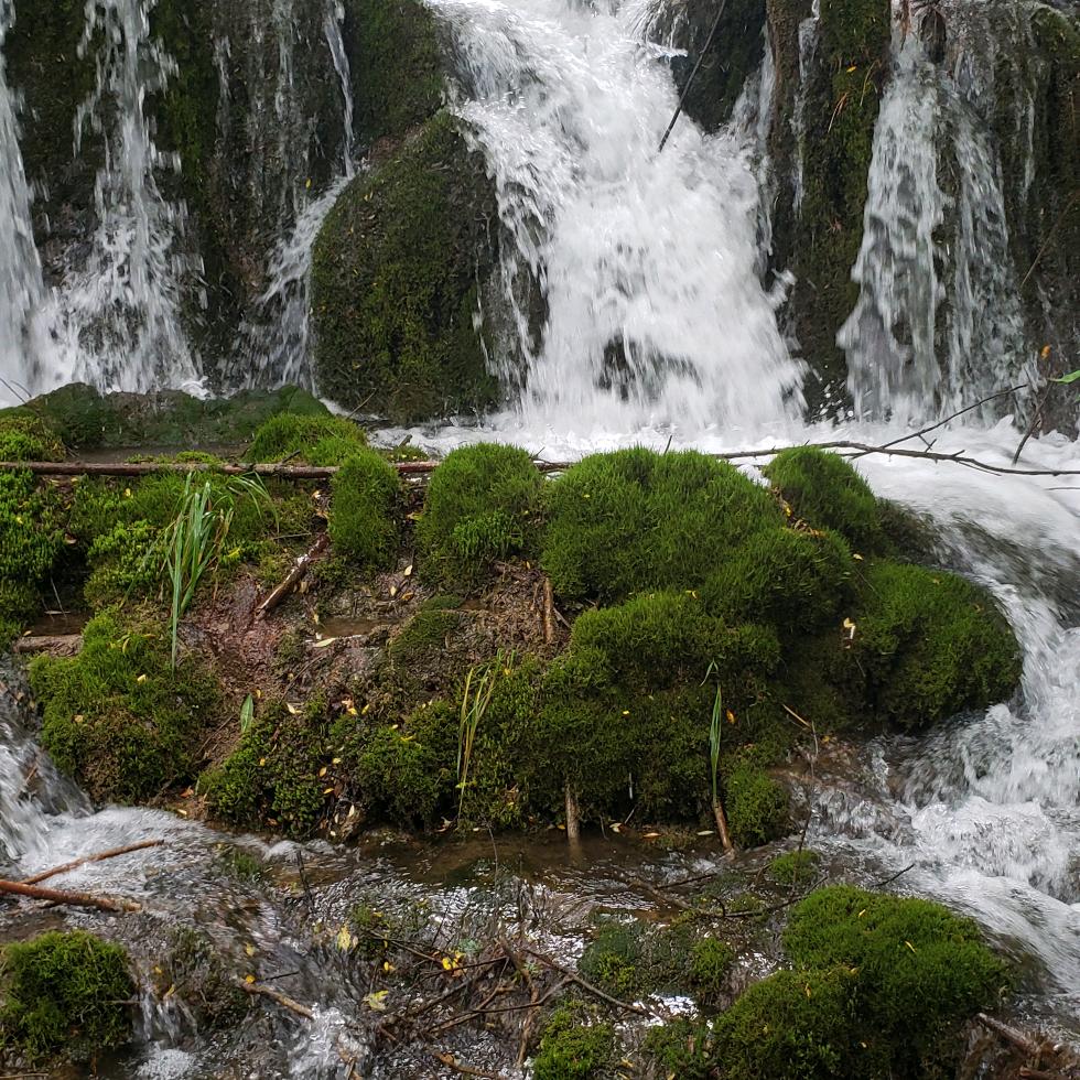 民权县春华种业