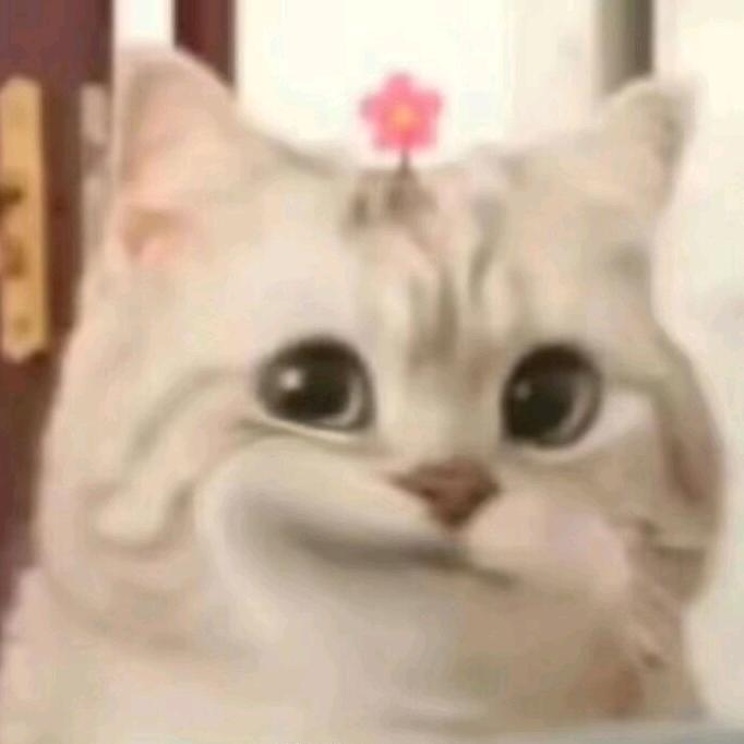 烨🌊