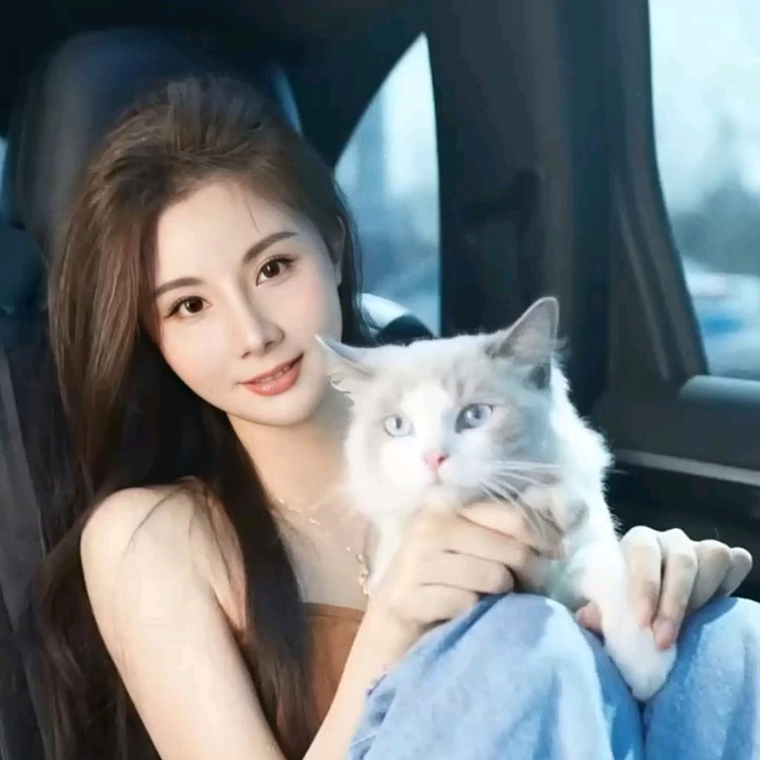 丢了头猪🐷