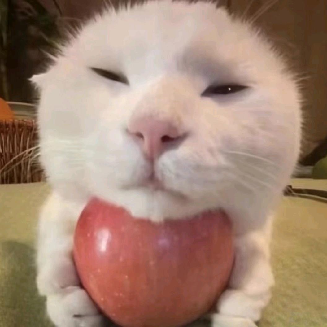 我菜别打我#50442