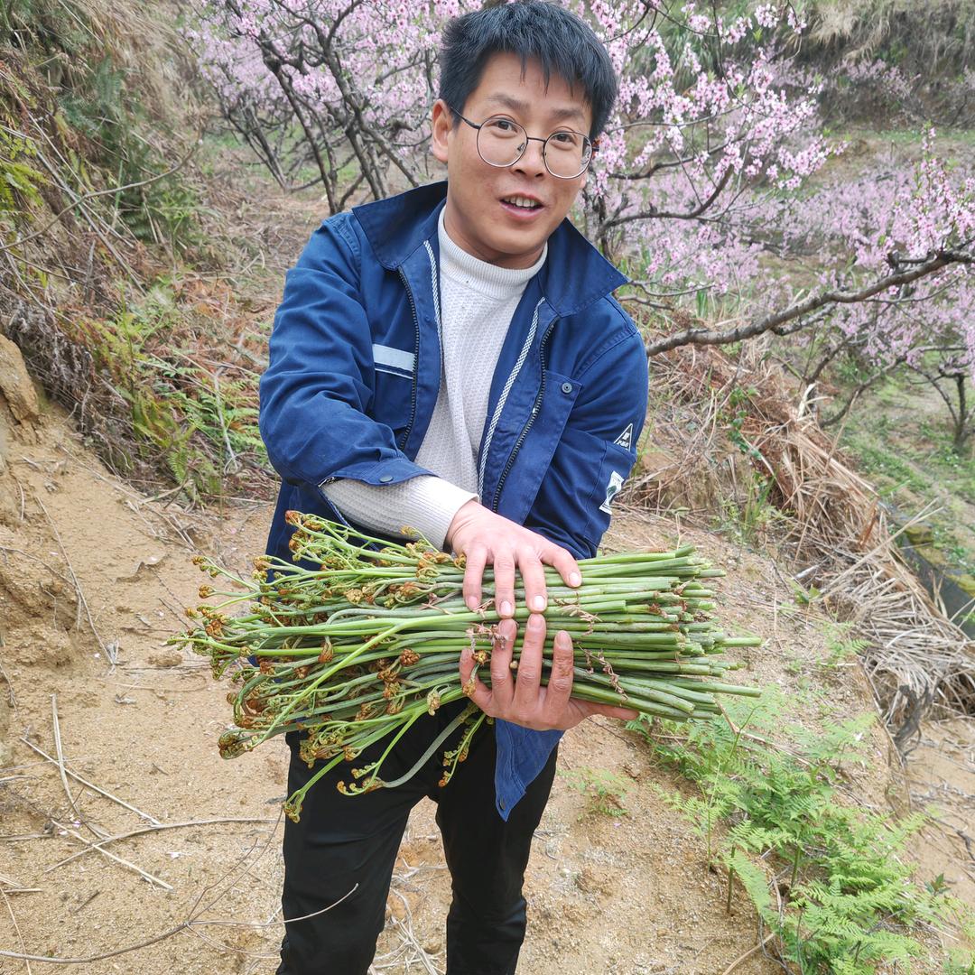 待飞的雄鹰