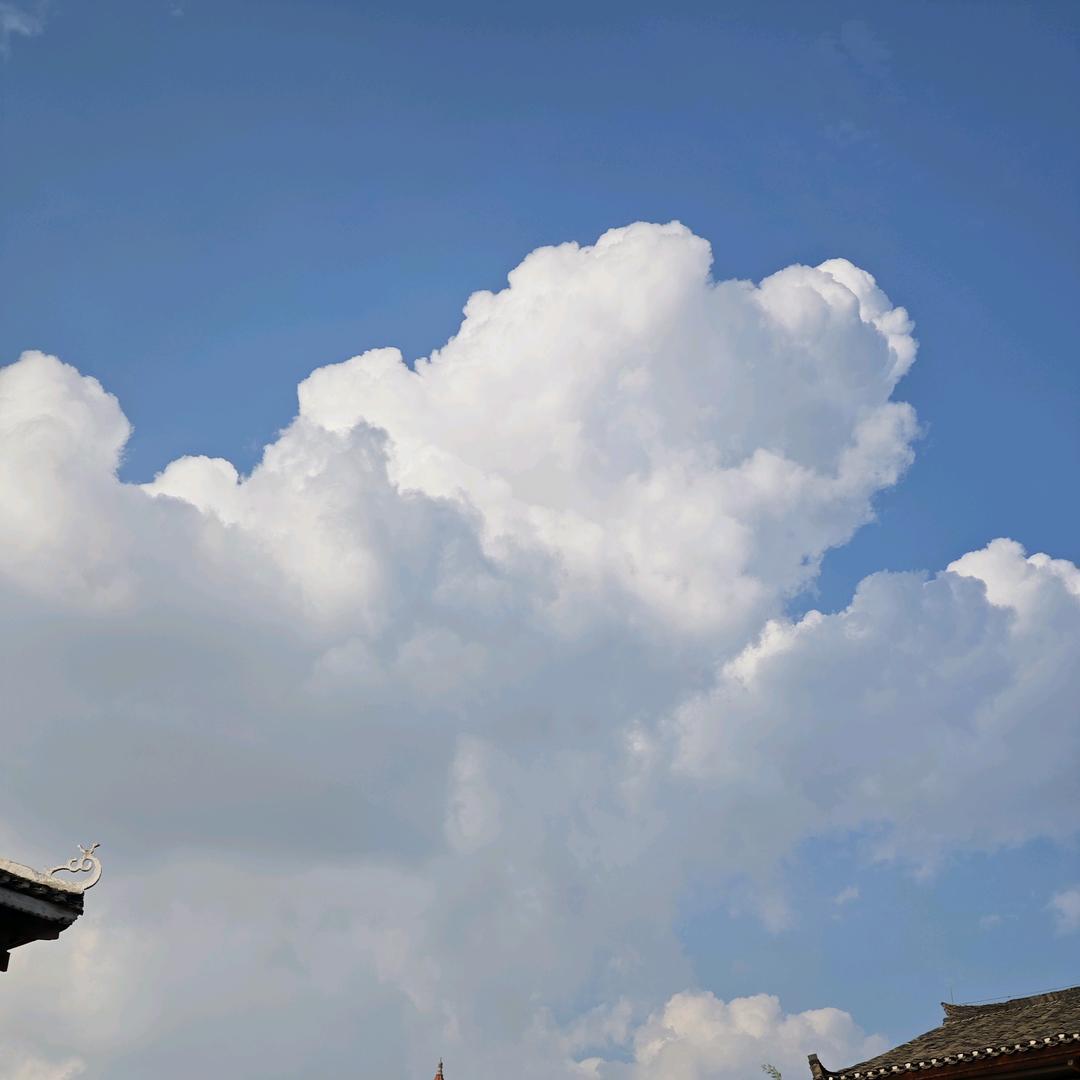 岁月静好@