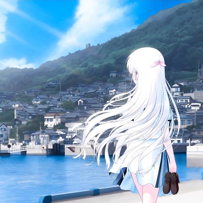 蛋挞宝宝