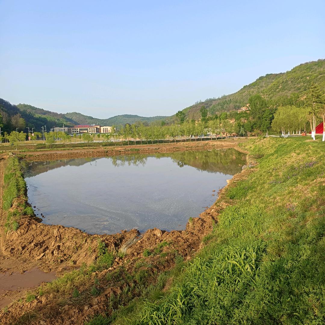 青山绿水Cm