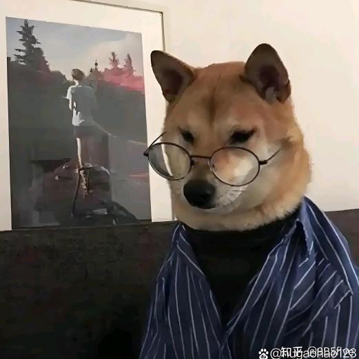 叽里咕噜说啥呢