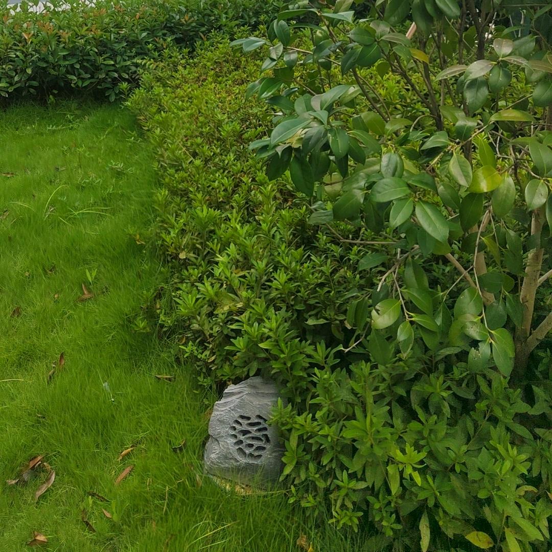 不认识我