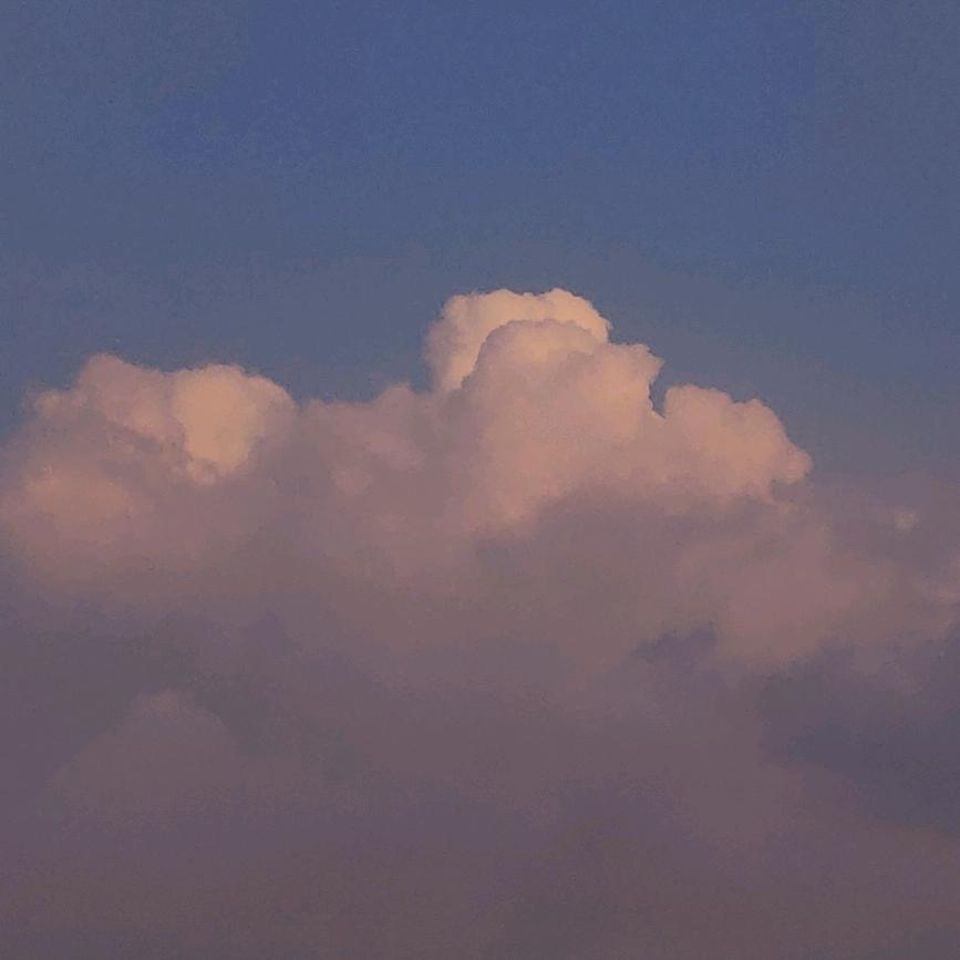 今天