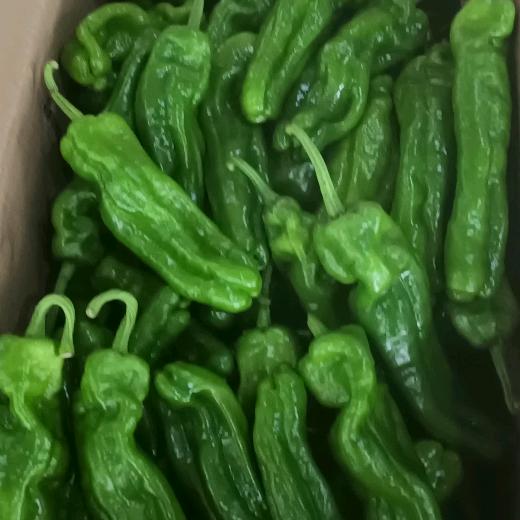 @辣椒@宿迁达之鲜农产品有限公司