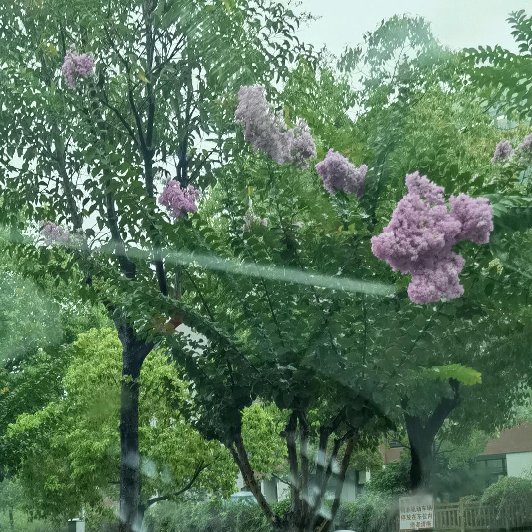 我的心里只有你(♥ω♥*)