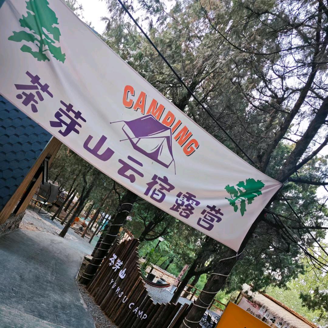 茶芽味道(云宿露营)