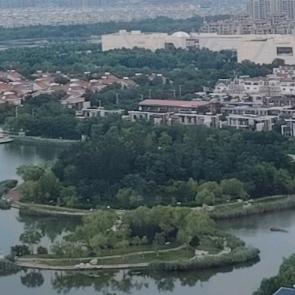 东营義宇桐商贸