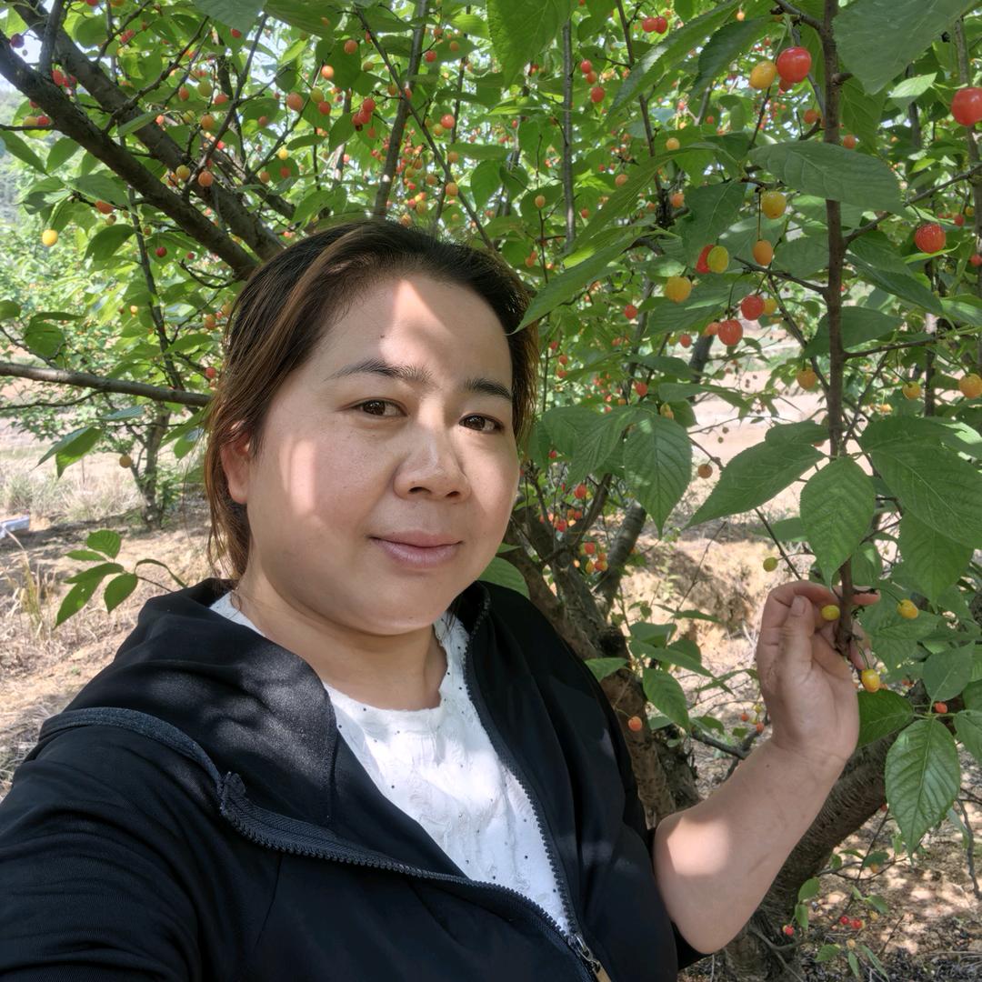 开发区（红酸壹牛）（湘村菜馆）特色酸汤