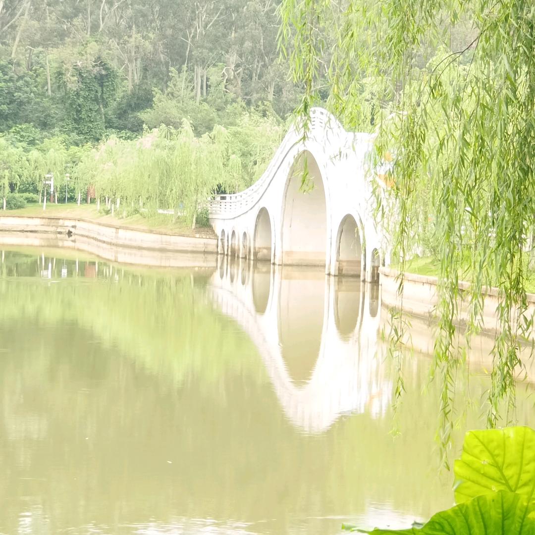 梦里不知身是客