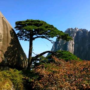 孝感—水木年华