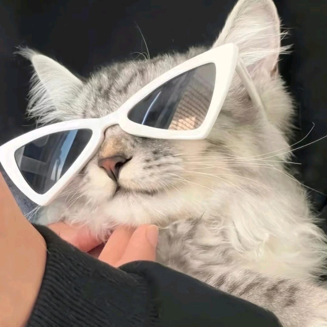 屎到临头还想搅便