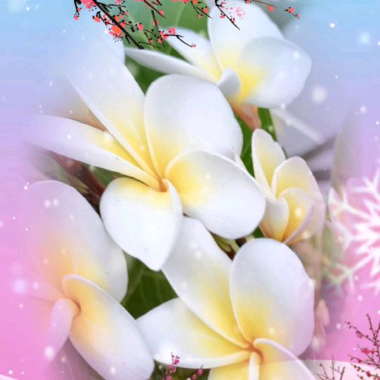 🦋ꦿ໊小米᭄🕊蓝芯᭄ꦿᩚ٭